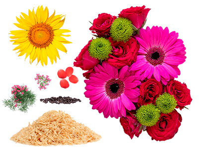  flores, plantas aromáticas, (romero, tomillo, hierbabuena) y otros elementos decorativos como el césped, los posos de café o el serrín tintado.